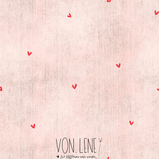 Vorbestellung 06 Jersey Erdbeere kombi Denim