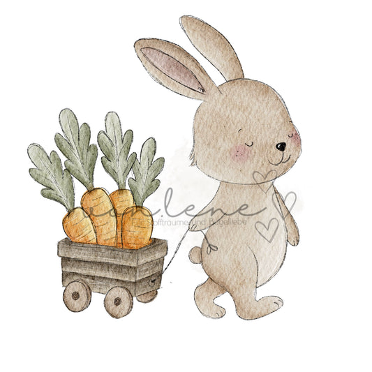 Karottensammler Digital PNG