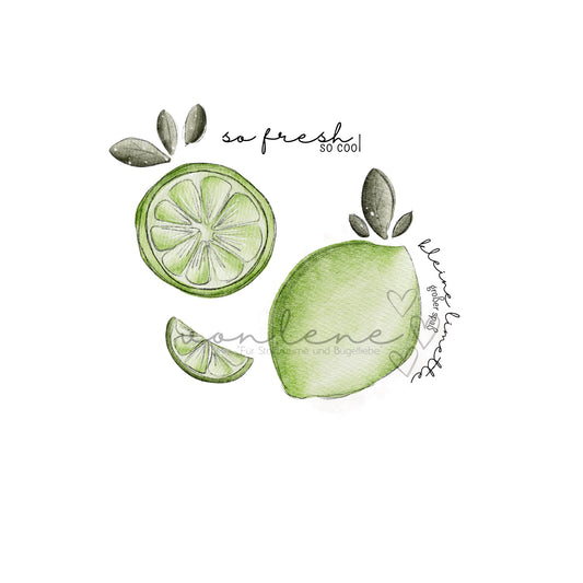 Limetten  Digital PNG
