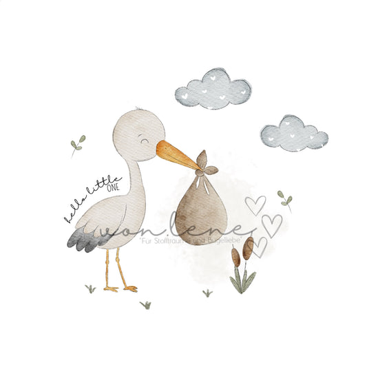 Storch Digital PNG